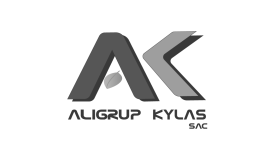 ALYGRUP